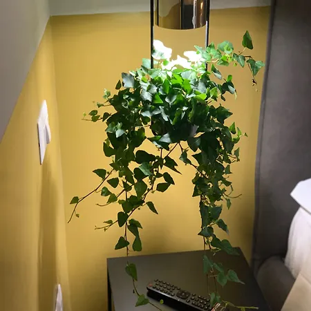 Cavour Urban By Ghor 게스트하우스 로마